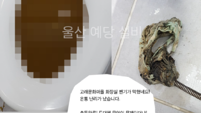 [울산예당설비][예당설비] 뚫어~~뻥!! 고래문화마을 화장실