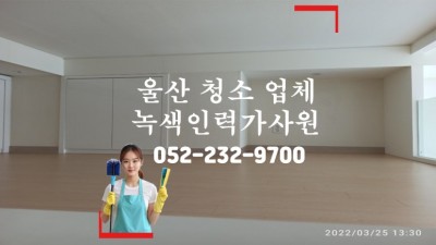 울산 동구 전하동 투룸 청소