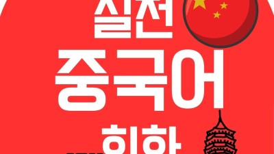 (전자책) 한글만 알면 즉시 사용 가능한 실전 중국어 회화 (전자책) 판매