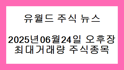 2025년06월24일 오후장 최대거래량 주식종목